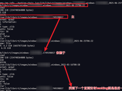 【数据恢复】修复KVM快照链与损坏的系统盘